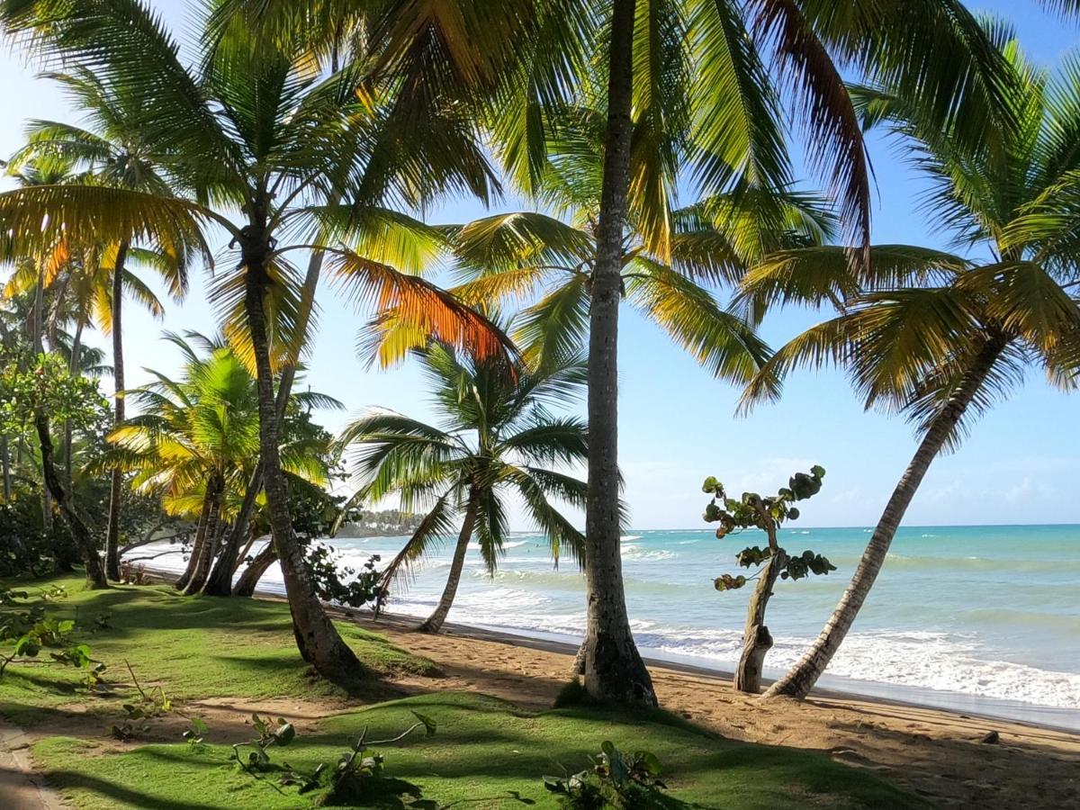 Hotel Bahia Punta Bonita Las Terrenas Exteriör bild